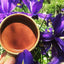 Keith’s Ceremonial Cacao Block: Medicine of the Heart