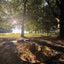 Sunset Soul Sessions: Cacao + Yoga in the Park