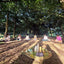 Sunset Soul Sessions: Cacao + Yoga in the Park