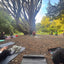 Sunset Soul Sessions: Cacao + Yoga in the Park