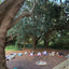 Sunset Soul Sessions: Cacao + Yoga in the Park
