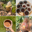 Cacao Facilitator Training