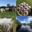 Breathe + Bloom Retreat | Bective Mill, Co. Meath | Sunday 12th July