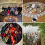 Autumn Reset Retreat | Bective Mill, Co. Meath | 14th September